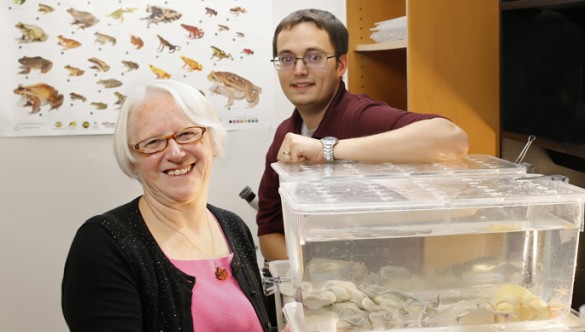 Louise Rollins-Smith, Ph.D., J. Scott Fites and colleagues are studying a toxic factor released by a fungus that disables the amphibian immune response. Photo: Joe Howell.