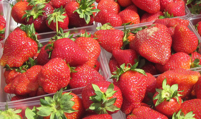  - wnfm-strawberries