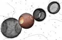 MEDICAL RF.COM/SCIENCE PHOTO LIBRARY