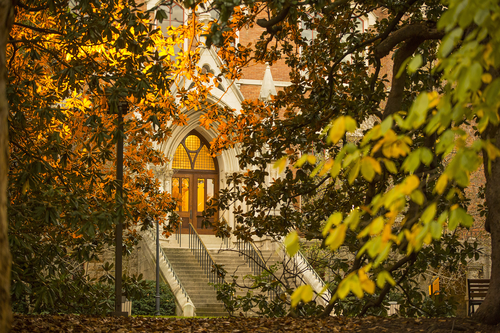 Autumn on campus
