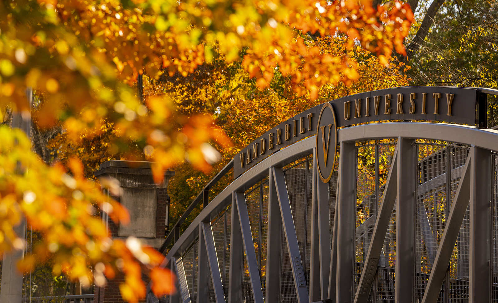 Fall color peaks on campus near the pedestrian bridge.