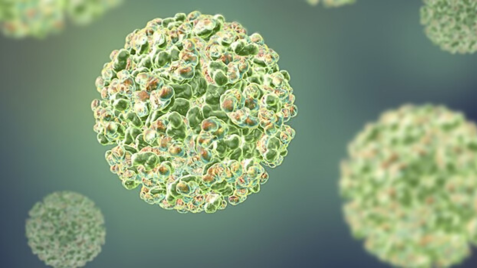 Close up of an alphavirus