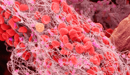 New drug candidates targeting blood clots developed through computer-aided drug design