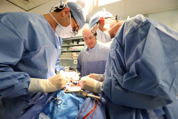 New simulation tool helps sharpen heart surgery skills | Vanderbilt ...