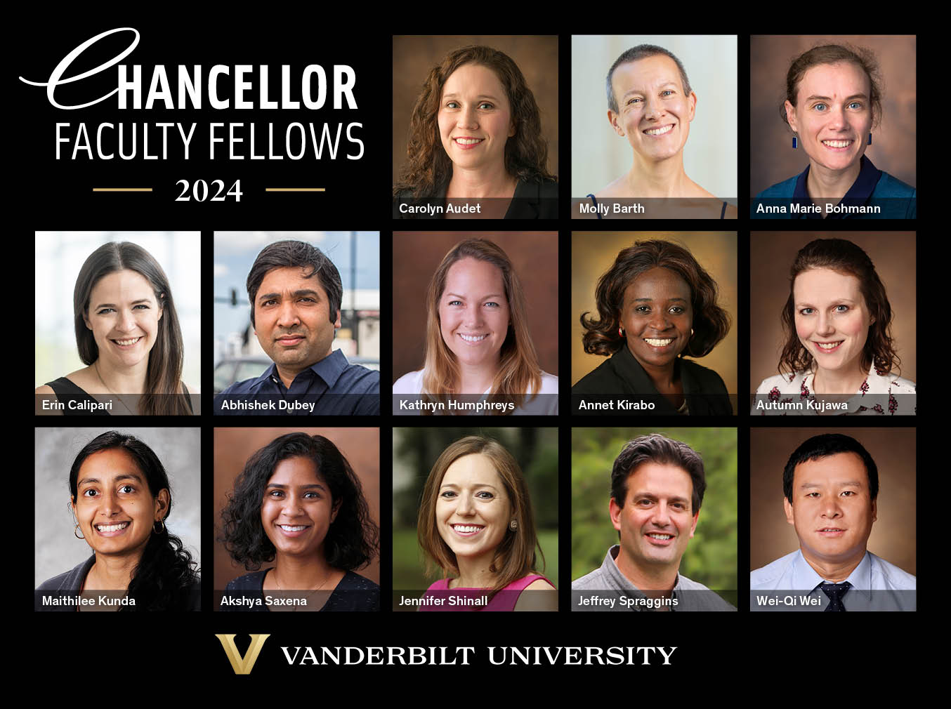 Chancellor announces 2024 Faculty Fellows, grants $40,000 per year to support scholarship and research