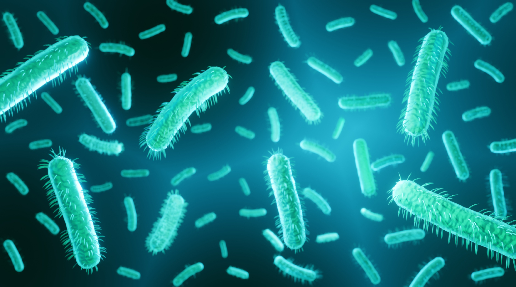 Study describes how E. coli co-opts cells, causes recurrent UTIs