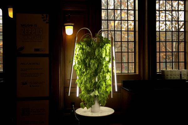 Hydroponic Garden at Zeppos Dining Hall