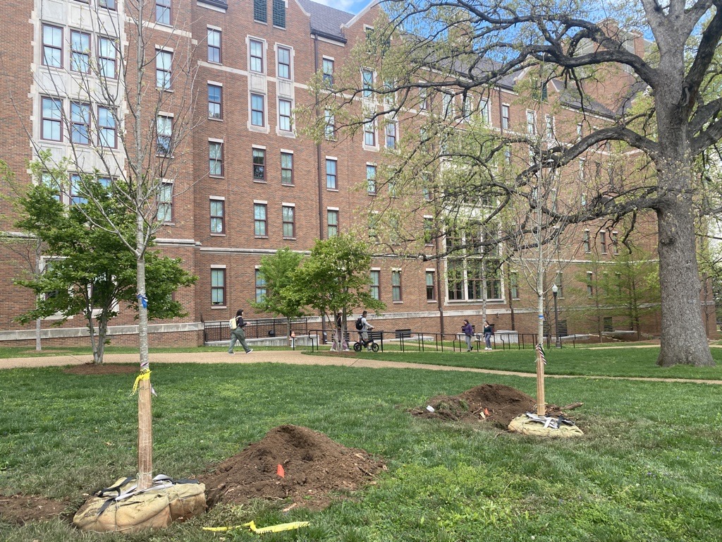 new trees are planted in the Vanderbilt arboretum