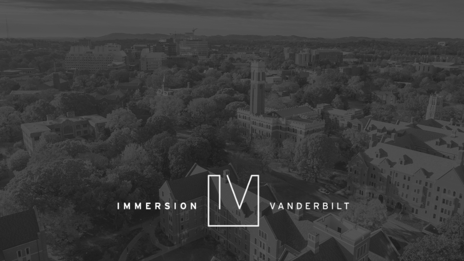 Immersion Vanderbilt logo