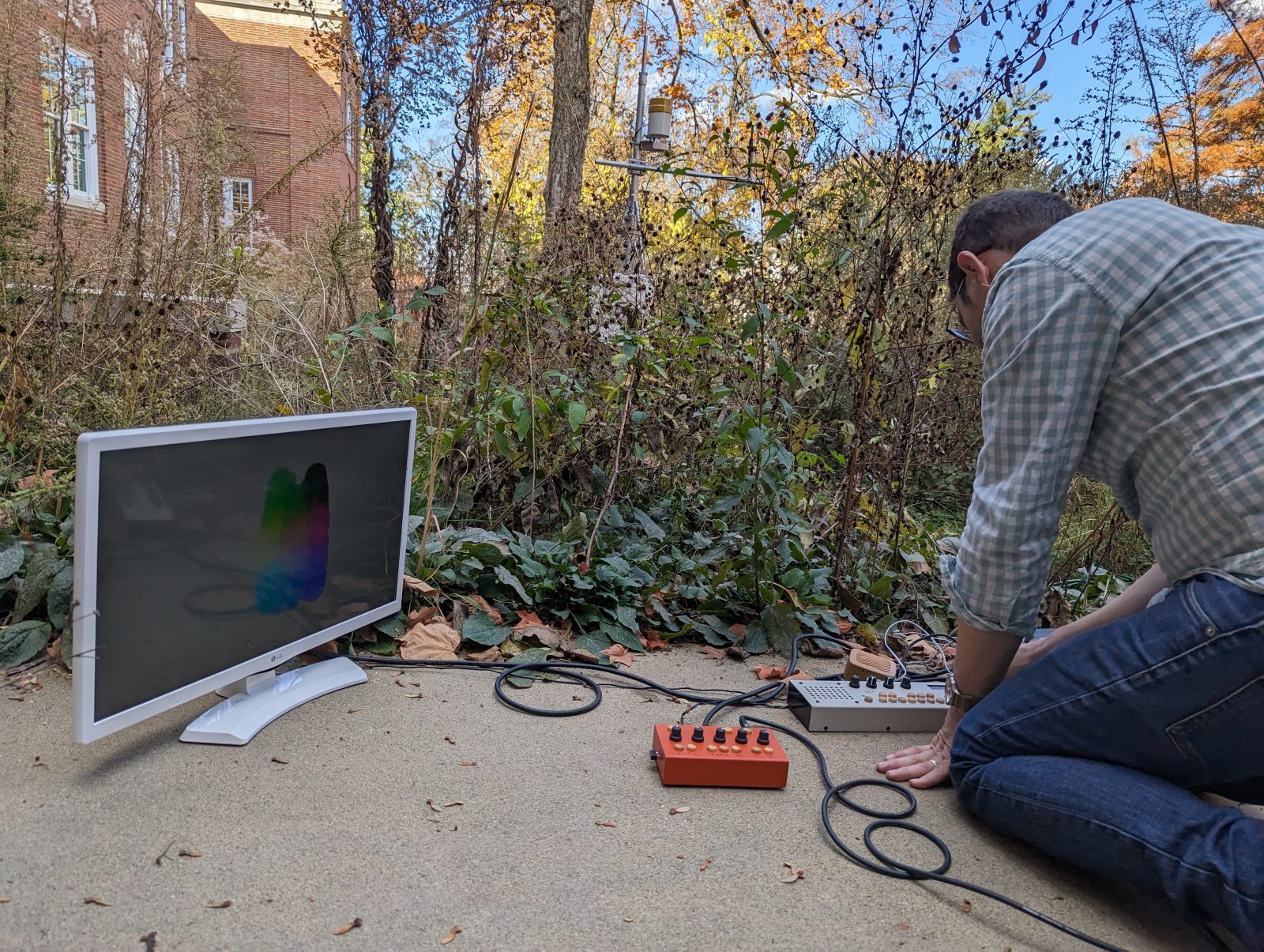 Vanderbilt University Native Meadow flourishing with collaborative ...