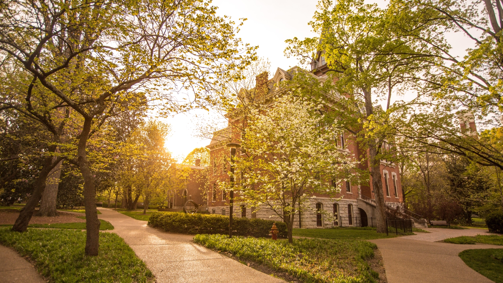 Faculty awarded Seeding Success Grants for spring 2022