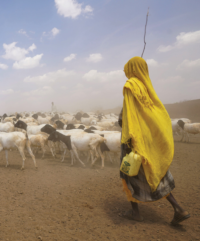 photo of a woman goatherd making her way to a UN aid relief camp in Kenya