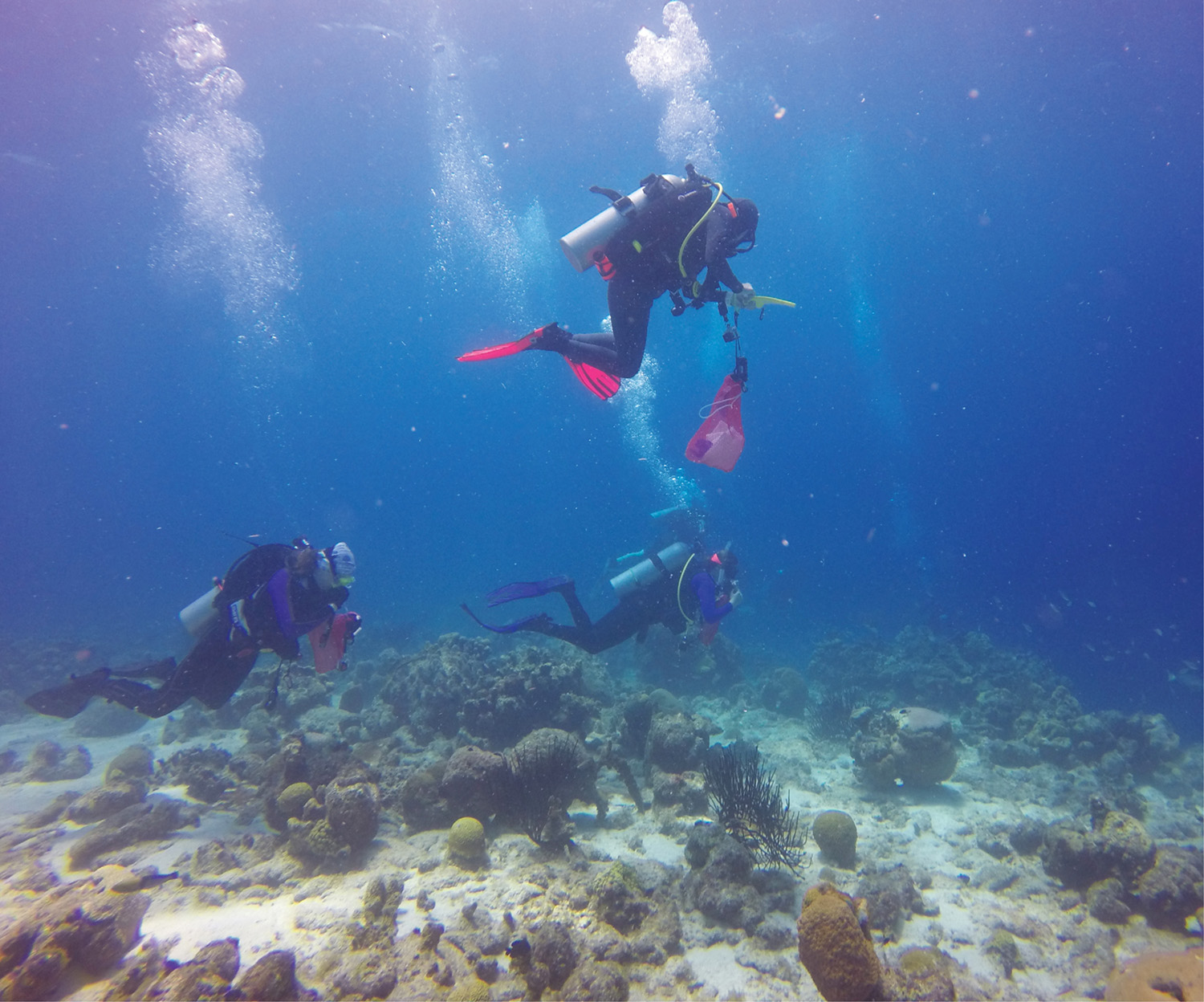 photo of Sirenas divers in Curacao (Sirenas Expedition Team)